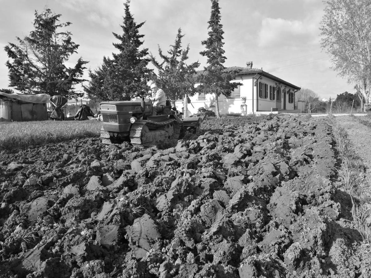 Masseria Le Querciole Fauglia Exterior photo