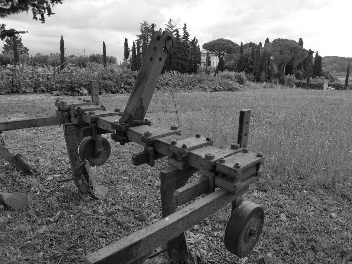 Masseria Le Querciole Fauglia Exterior photo