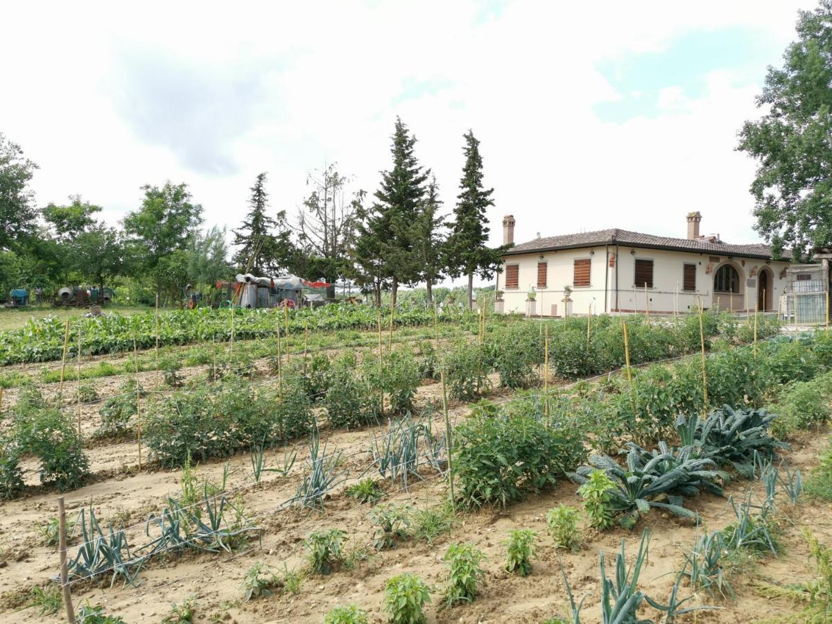 Masseria Le Querciole Fauglia Exterior photo
